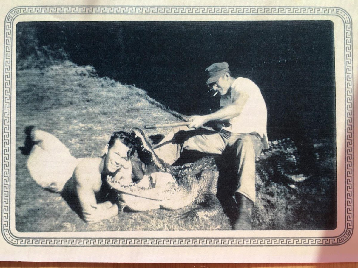 🟧⬜️ØRANGE BLØØD 🟧⬜️ tweet media