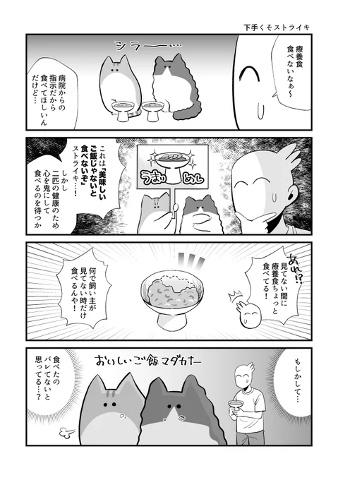 下手くそストライキ #秀さんの今日の猫日記 