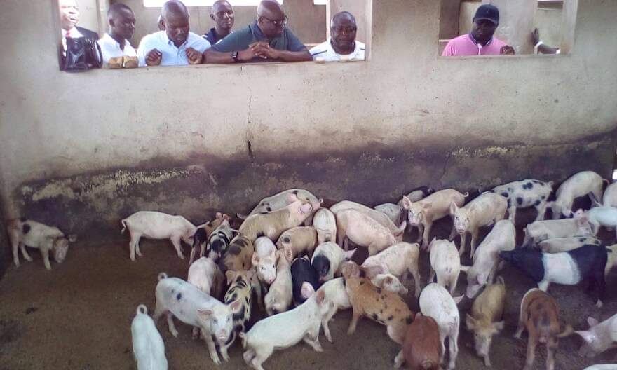 I_am_semex's tweet photo. That Hon. Ladi Adebutu @ladiadebutu, Ogun state @OfficialPDPNig governorship candidate is a farmer is well enough for the people to be rest assured that relief has come (ITURE DE) @OGSG_Official. The abundance of the food supply is guaranteed.
#LadoTripleA2023
#OgunPDP https://t.co/sGqcT9WJMD