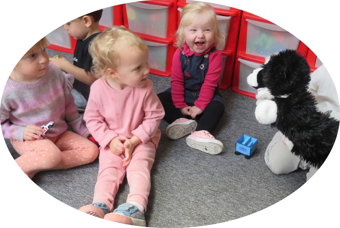 Toni Ann cherry tweet media