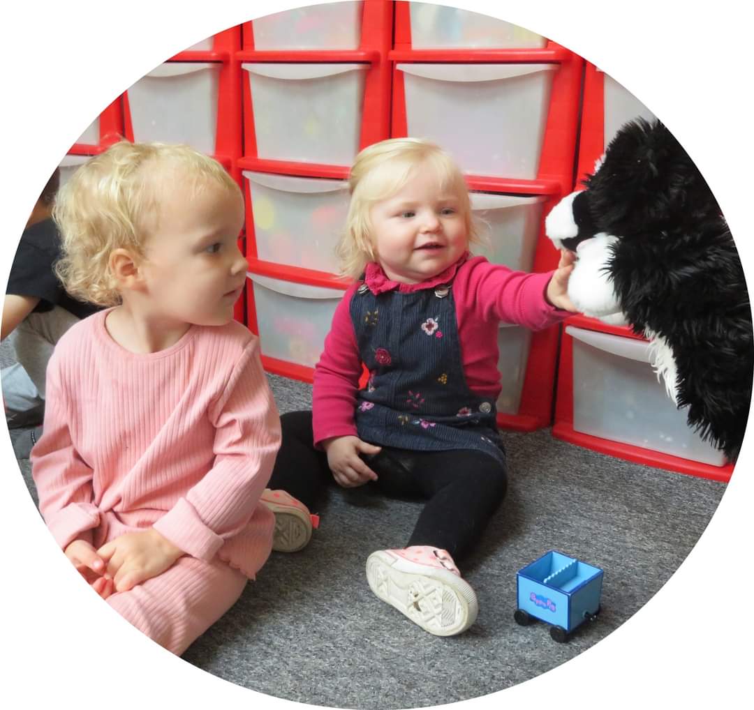 Toni Ann cherry tweet media