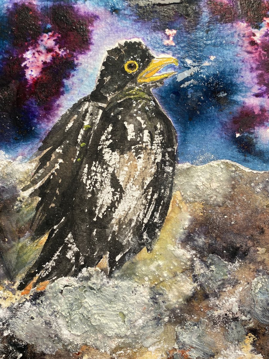 sensinglorna's tweet photo. Introducing Ambrose the blackbird, who lives on the moon. Ambrose’s space race story features in the second book of bird adventures- CHIRP! “Squawk” is out soon and then there is “Chirp”, and the rest…
#endlesscreativity #watchthisspace #writersoftwitter #artistontwittter #story https://t.co/hDgHIYlkk0