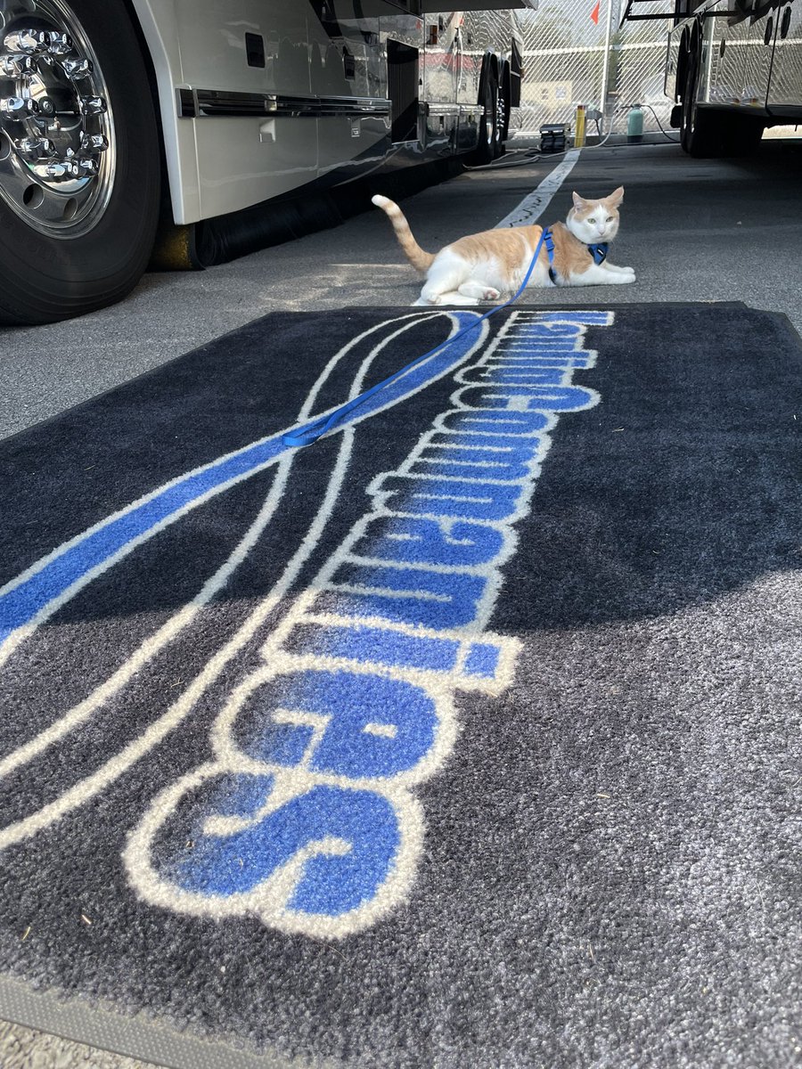 _TaraLea's tweet photo. It’s Bristol Baby! 🏁🏆🐈
@AJDinger @tickles_thecat
@BMSupdates #ItsBristolBaby #regularseasonchamp @XfinityRacing https://t.co/wQBWSqXwtp