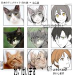 新事実であり真実かもしれない!日本のアニメキャラ＝猫説!