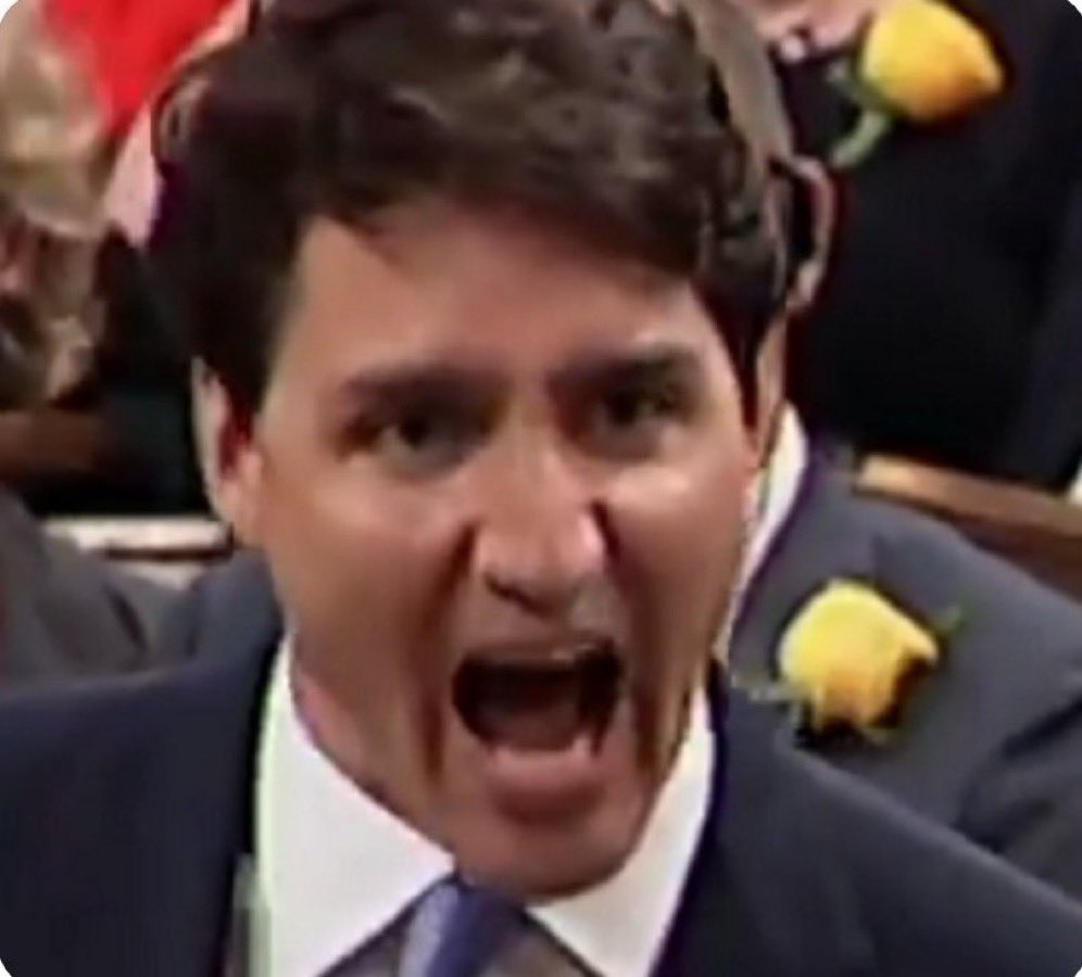 MaximeBernier's tweet photo. Should we tolerate authoritarian psychopaths trampling on our rights?
#TrudeauMustGo https://t.co/WOxL2AXvI2