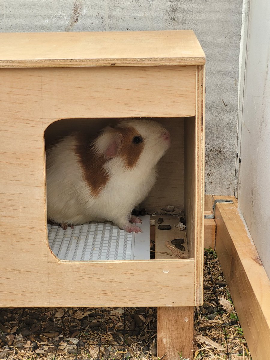 Adriana Maldonado-Chaparro tweet media