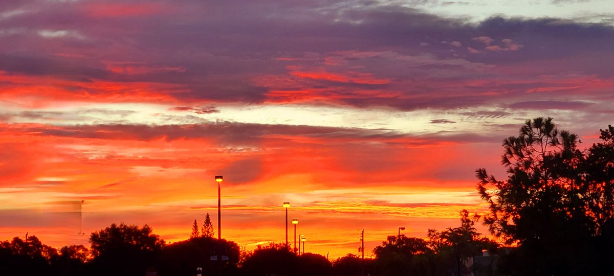 GessnerREAgent's tweet image. Magnificent morning #SundayFunday #followthepinkcar