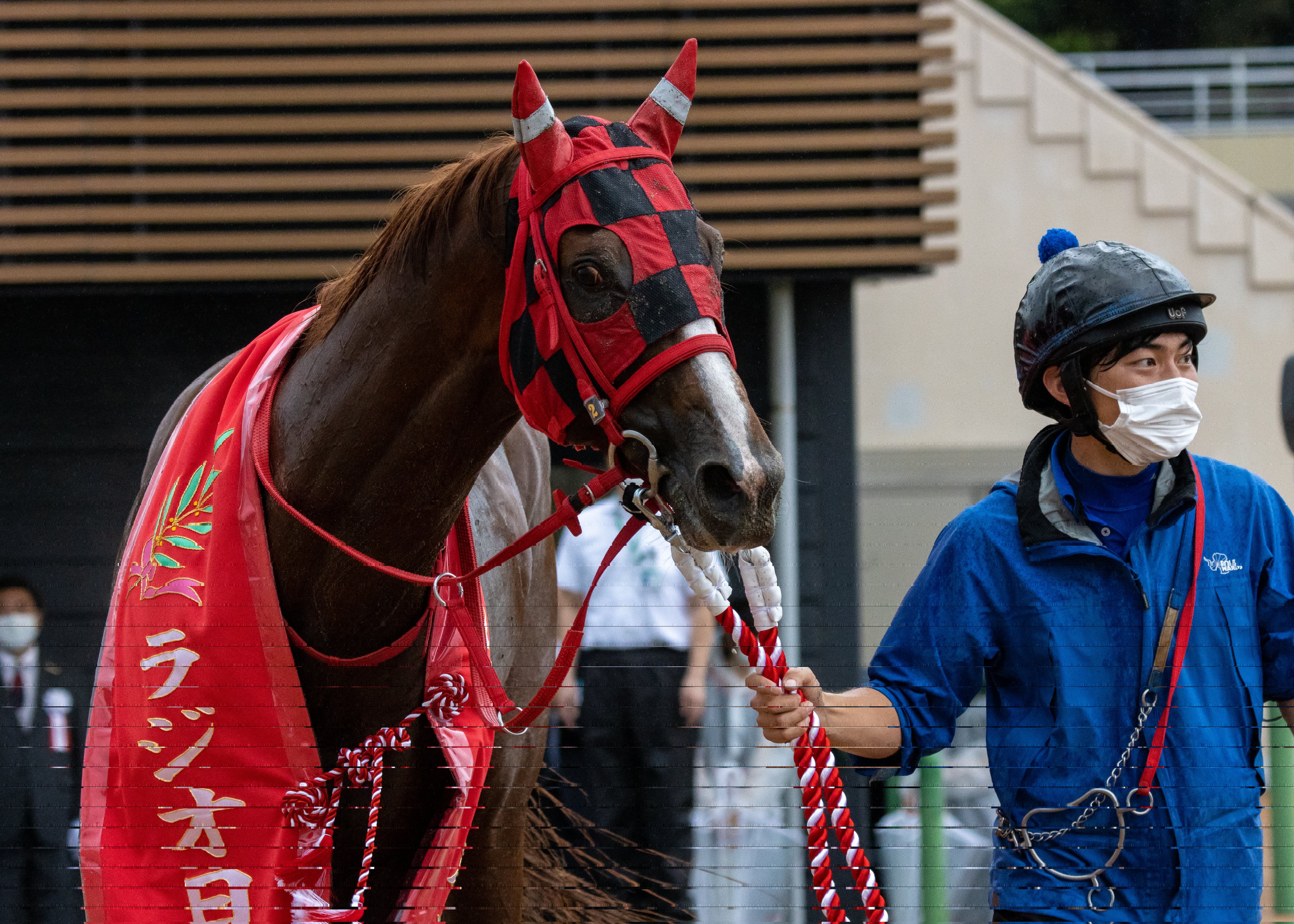 ラジオ日本賞 Twitter Search Twitter