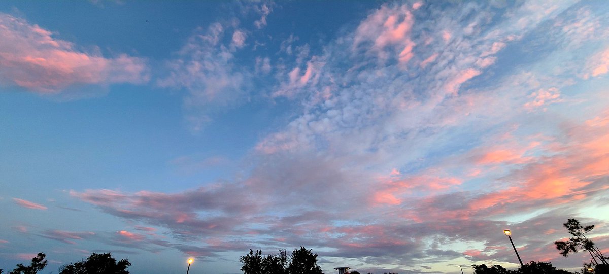 GessnerREAgent's tweet image. Magnificent morning #SundayFunday #followthepinkcar