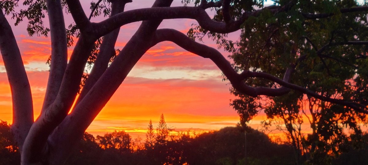 GessnerREAgent's tweet image. Magnificent morning #SundayFunday #followthepinkcar
