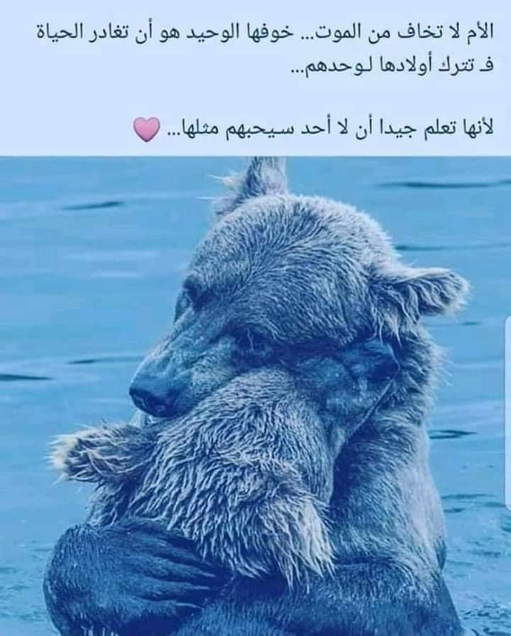رحيق نيوز (@rt63055434) on Twitter photo 