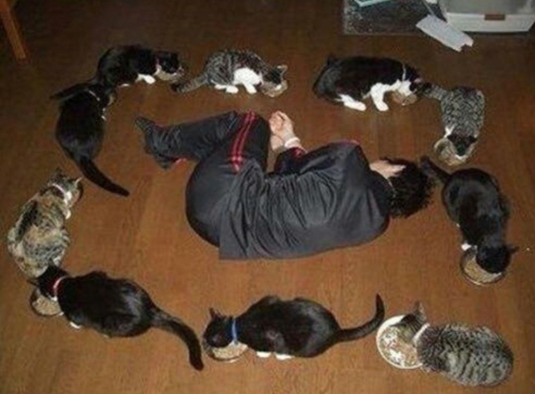 Fc8dT15WAAAETmk?format=jpg&name=medium