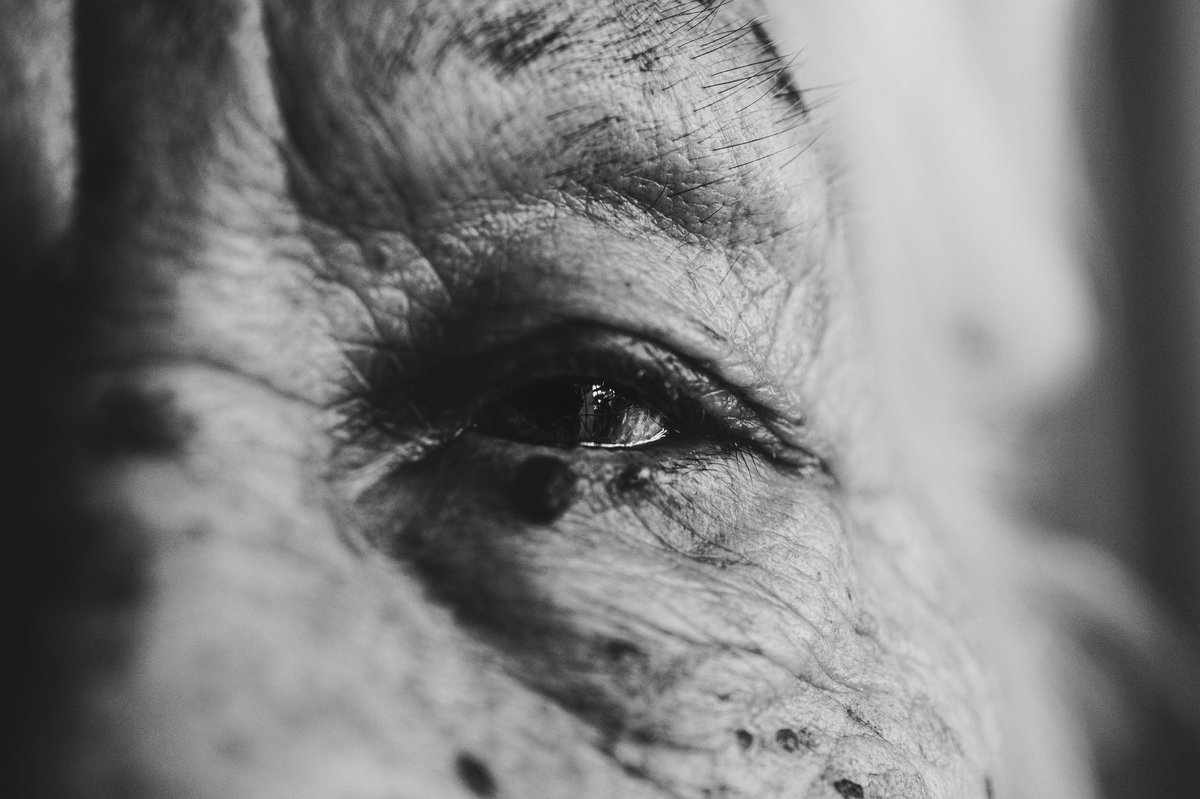 xavib1017's tweet photo. Textures of life and time.

#photography #everydayphotography #life #time #blackandwhitephotography #blackandwhite #eye #portrait https://t.co/EybCO0otHH
