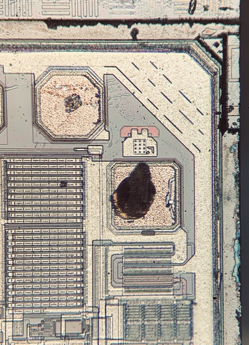 duke_cpu's tweet image. Anyone still using an ISDN system? If yes, chances are high there is this #AMD #chip installed! The designers left a #silicondoodle in one of the corners of the AM79C30 #microcontroller - ring ring!