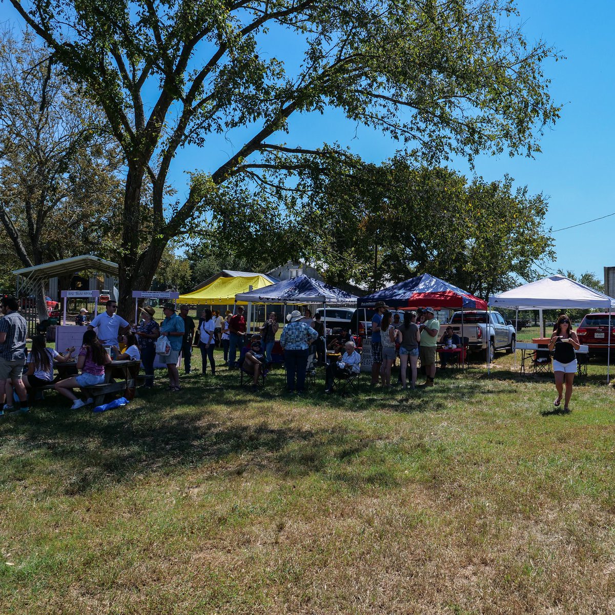 beeweaver's tweet photo. 6️⃣ DAYS AWAY! Calling all Cooks &amp; Honey Lovers! 🍯😋 Honey Cook Off and INFUZZED is Saturday, September 24th! - Coming for the food? Buy your tickets now - gate tickets will be limited! Get your tickets under Farm Activities at https://t.co/mFuewBNe6a - https://t.co/JO7cAieBMo https://t.co/Au673tSUbo
