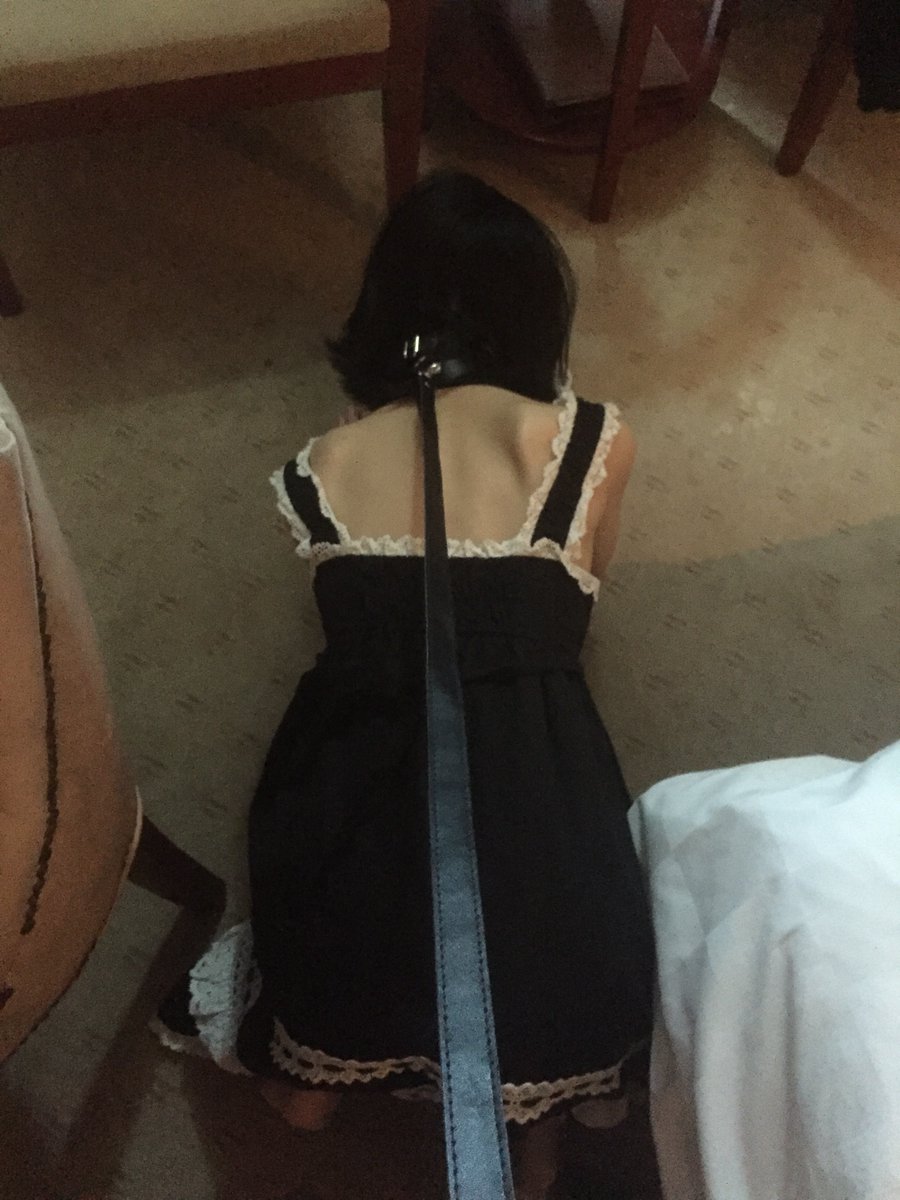 ZeppelinDom's tweet photo. 2019 https://t.co/11bT5vAqYp