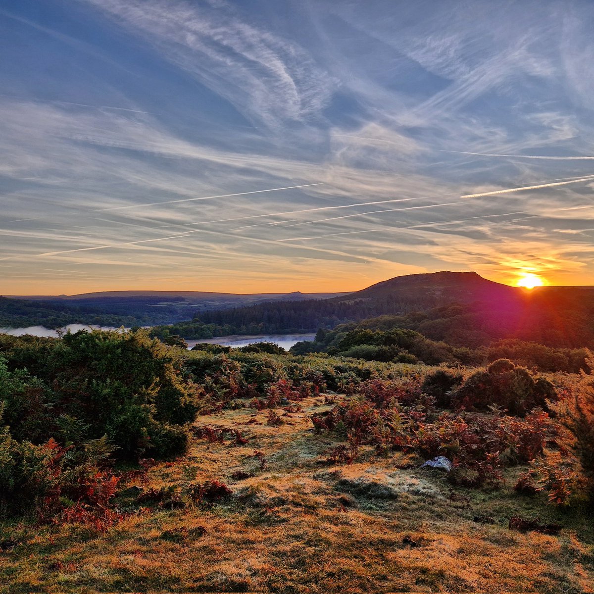 Andy Webb tweet media