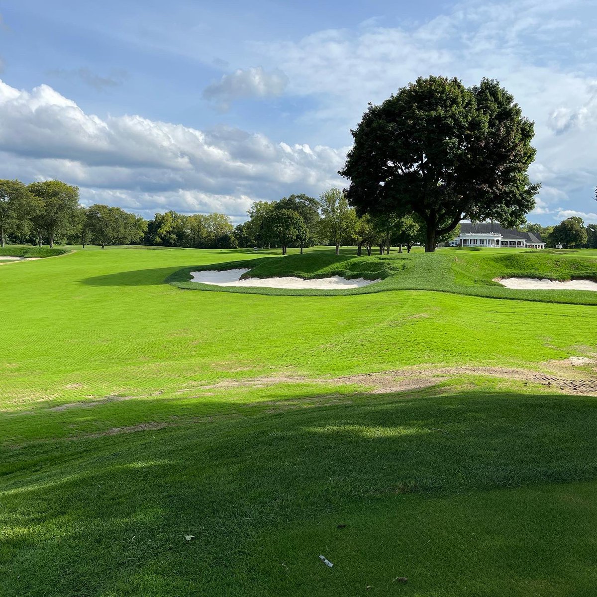 Jerek_Salto's tweet photo. Project done and dusted, 007XL fairways filling in, open for member play! Couldn’t achieve this in a month without our team! Now off to volunteer for the week for @PresidentsCup at the old stomping ground👍🏼🏆🇺🇸 https://t.co/RkEAgsCBMa