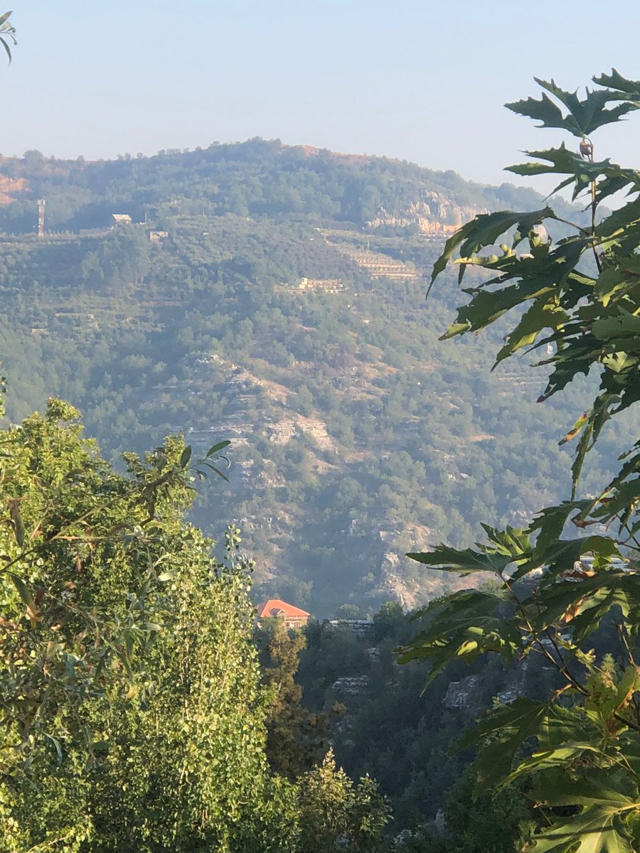 jeff070's tweet photo. My father sent me those this morning from Mayrouba Keserwen. Picking grapes (for arak), fig, and walnuts at an altitude of 4,300 feet. #lebanon #mayrouba https://t.co/YlKP5epFx6