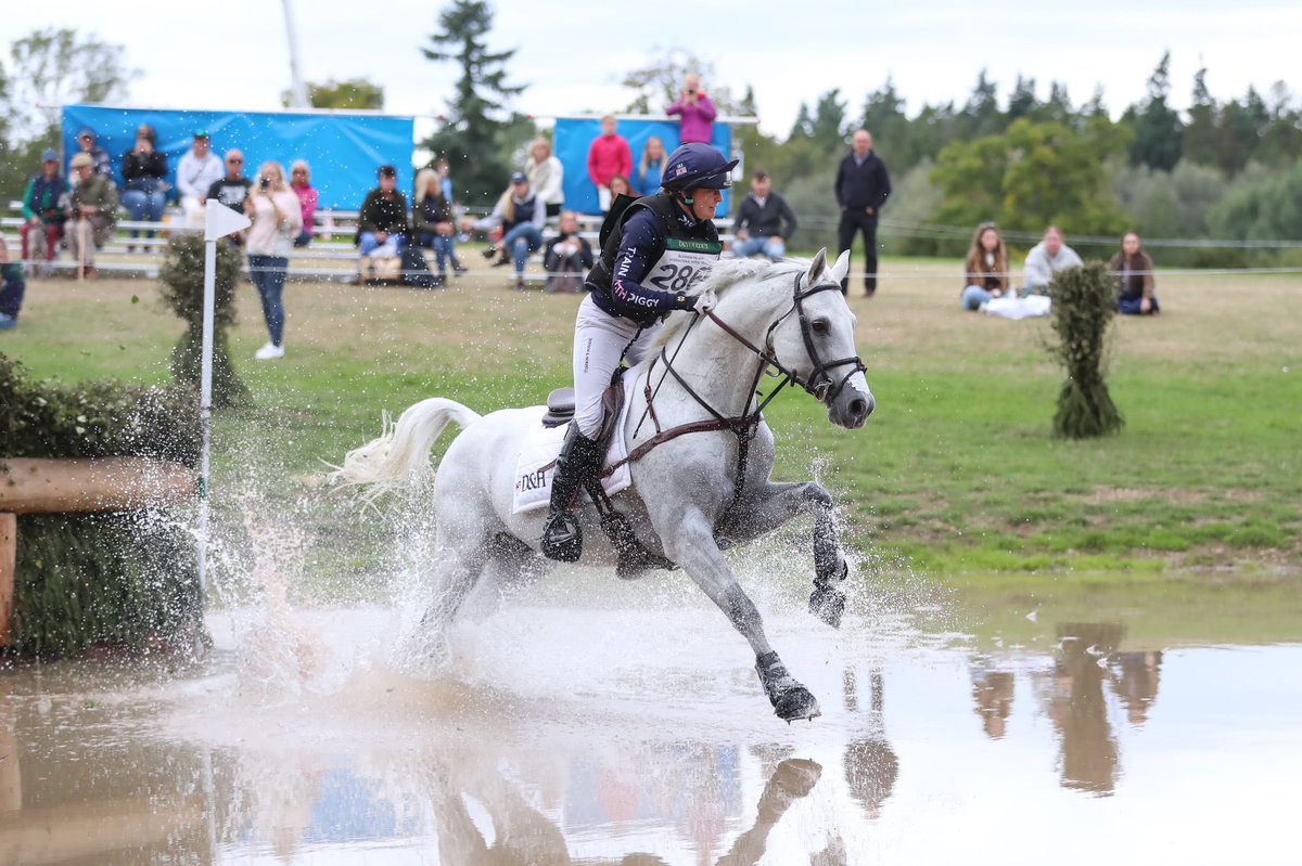 HALO 😇 is a Blenheim Champion 🏆

Stable face 👇                Game face 👇 

#BPIHT