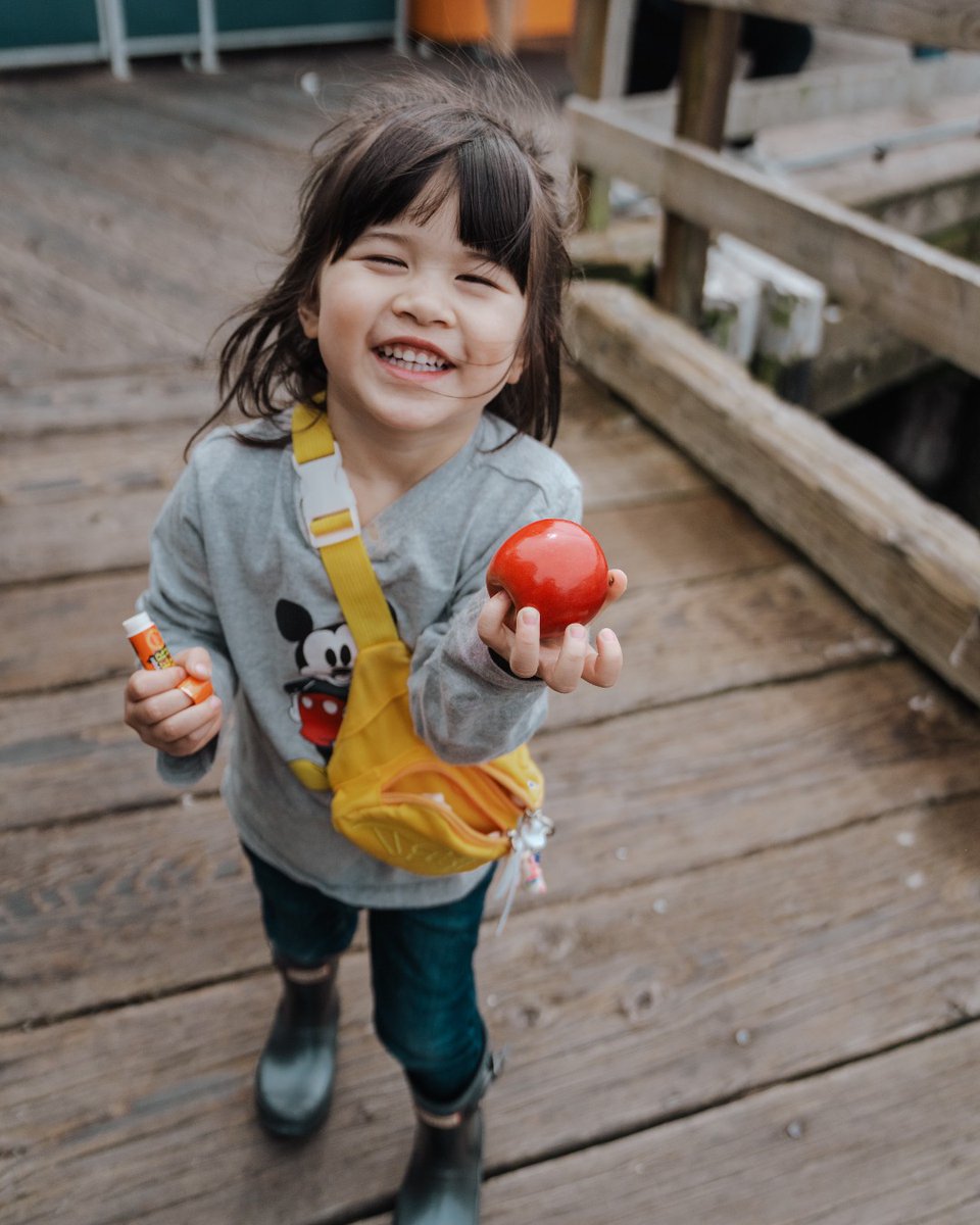 RockitAppleUSA's tweet photo. The most adorable snack break we've ever seen! ๐ ๐ #RockitApple #TinyApple
๐ธ: @truongwin_ https://t.co/gCMDgkE2cE