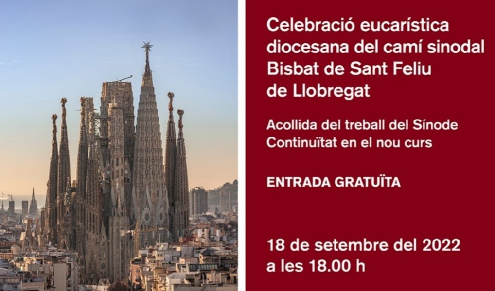 catedralstfeliu's tweet photo. Avui anem a la @sagradafamilia a celebrar l'eucaristia del camí sinodal a nivell de diòcesi.
@bisbatsantfeliu
#SantFeliu
#sínode https://t.co/5tDFIxAdxQ