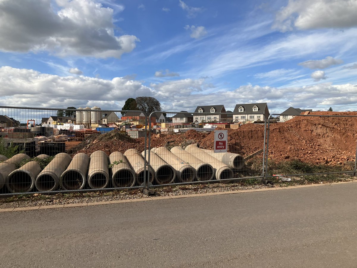 Danica Priest🦇🦎🦇🦎🍃💚🍃 tweet media