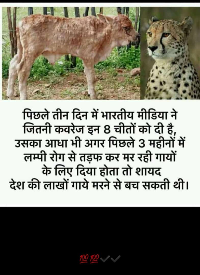 piiioHS13502782's tweet photo. गोदी मीडिया को तो अपने बॉस के तलवे चाटने में ही वक्त नहीं है गाय तो खैर जानवर है!!!!!
माता तो चुनावो से कुछ महीने पहले तक ही रहती हैं 🤨🤨 @Ravindra_Fouji @abhisar_sharma @dollysharmaINC https://t.co/bAe1cnpTR2