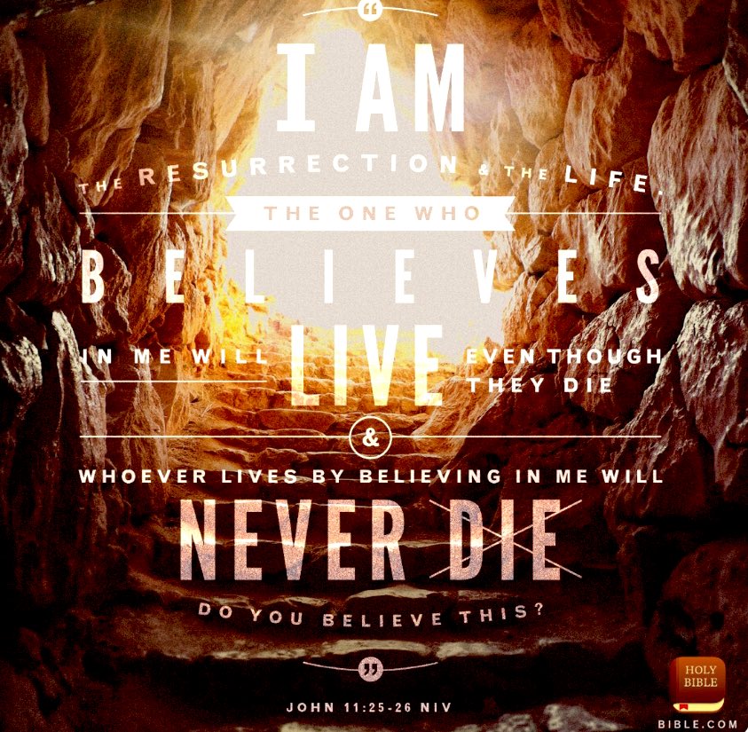 aw4_c's tweet photo. ✝️“Jesus said to her, “I am the resurrection and the life. He who believes in Me, though he may die, he shall live. And whoever lives and believes in Me shall never die. Do you believe this?”✝️
📖(John 11:25-26)📖
#SundaySermon
#JesusIsLord
#JesusSaves
#JesusTheRedeemer https://t.co/tl4gsoojZF