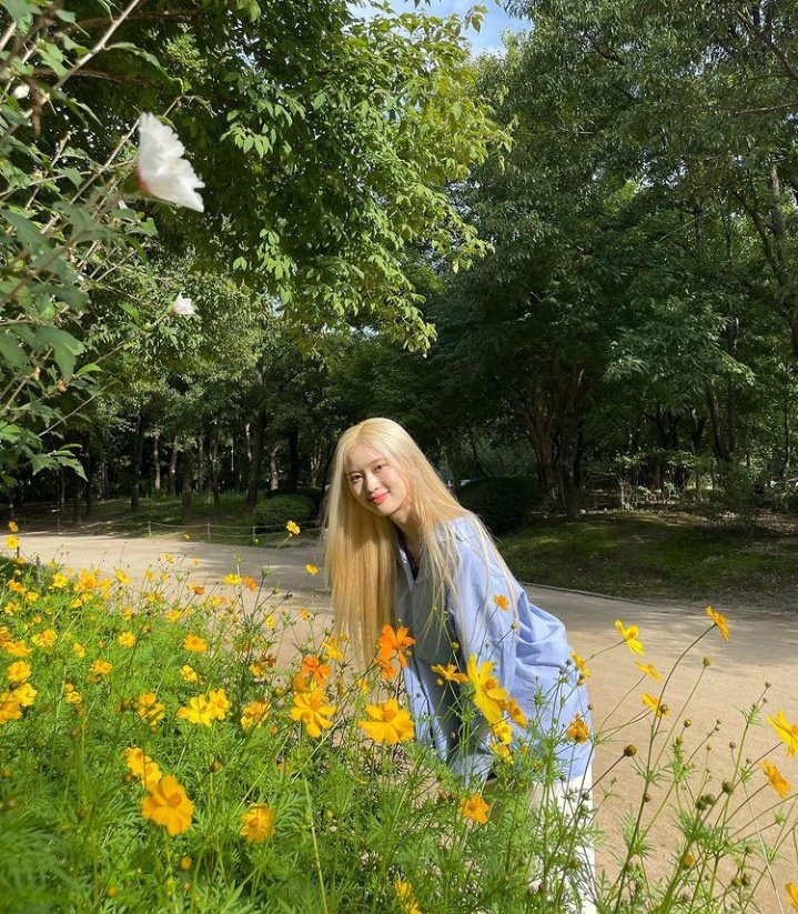 BabyGiantMay's tweet photo. {📸} |18.09| Atualização da May no seu IG (ma0_may) 

~  cosmos 

#May #메이 #CherryBullet #체리블렛 @cherrybullet @CherryBullet_jp https://t.co/sr0v2pg5zm