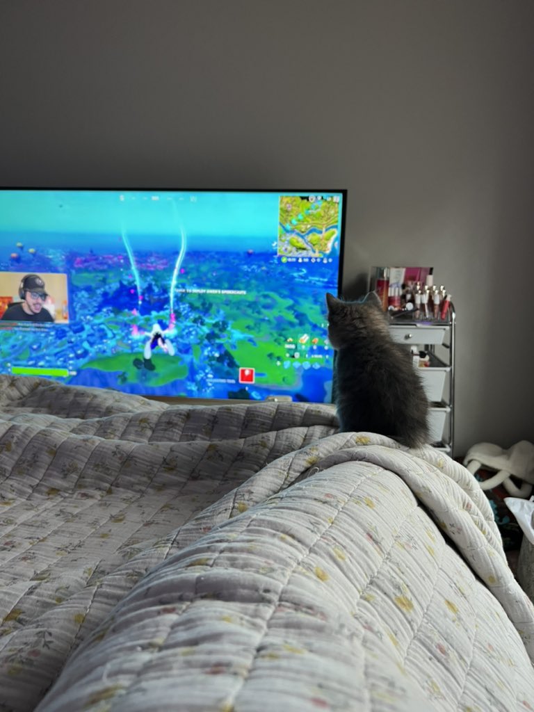 _sarahstephens_'s tweet photo. @TypicalGamer your newest fan! 😍 https://t.co/aRVjIR98jb
