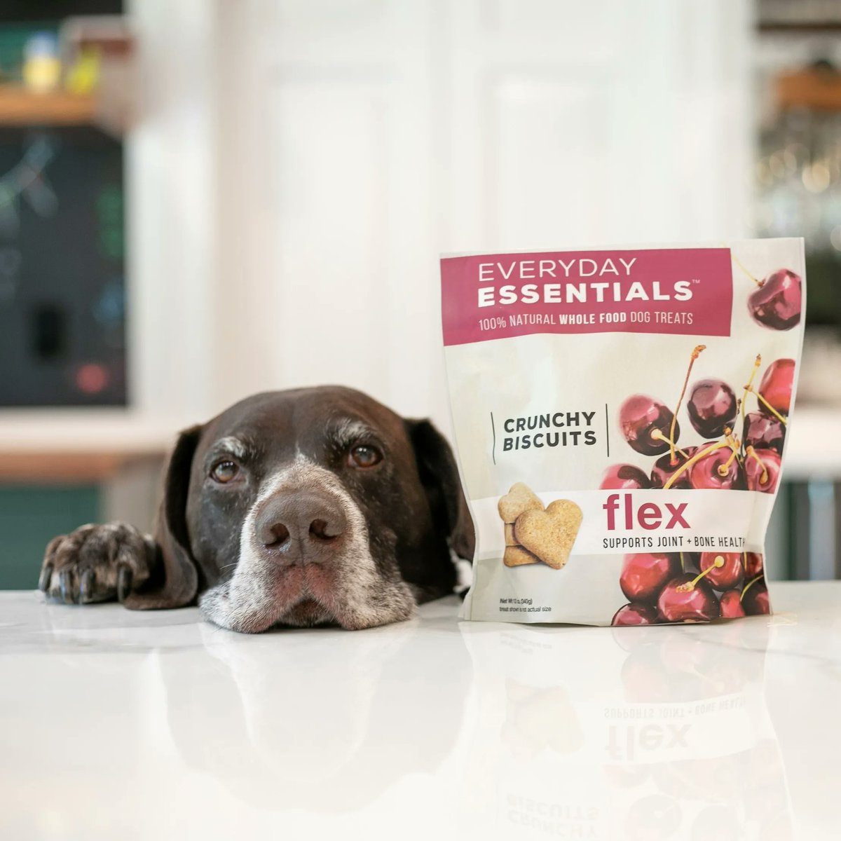 Isle of Dogs tweet media