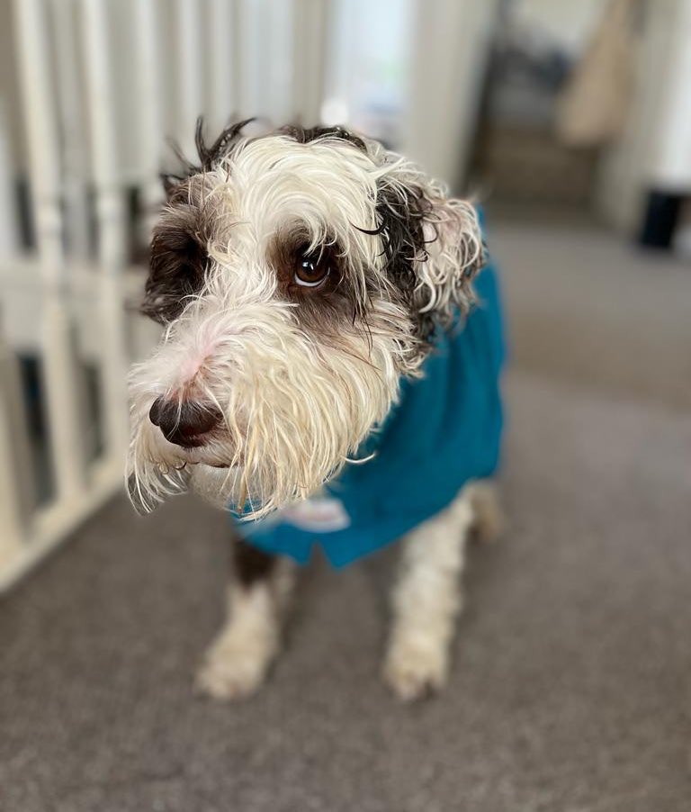 bemorebob2's tweet image. How abouts we don’t tell mum about what happened dad? What say? #BoysCode