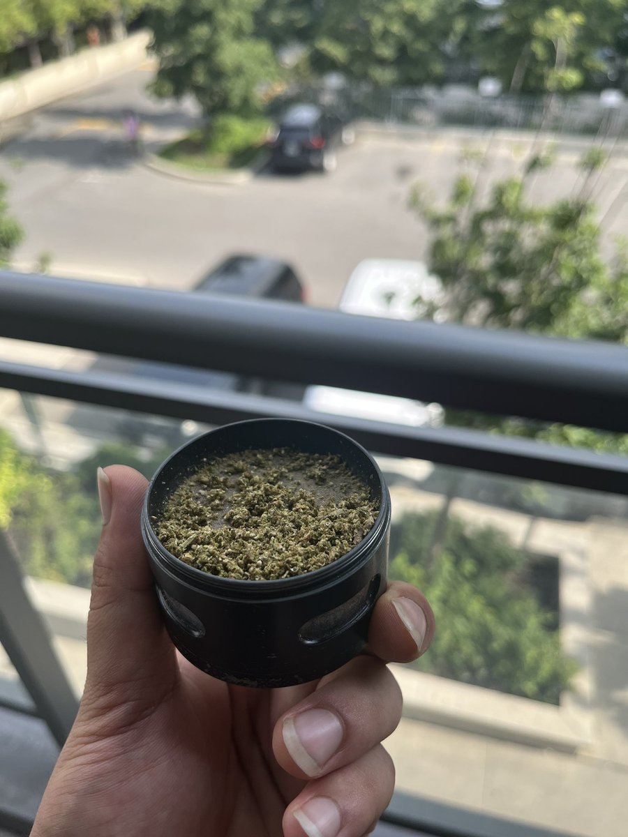 Jawi WAGMOE On Twitter GM GM GM CT TOUCH SOME GRASS AND HAVE jawi-wagmoe-on-twitter-gm-gm-gm-ct-touch-some-grass-and-have