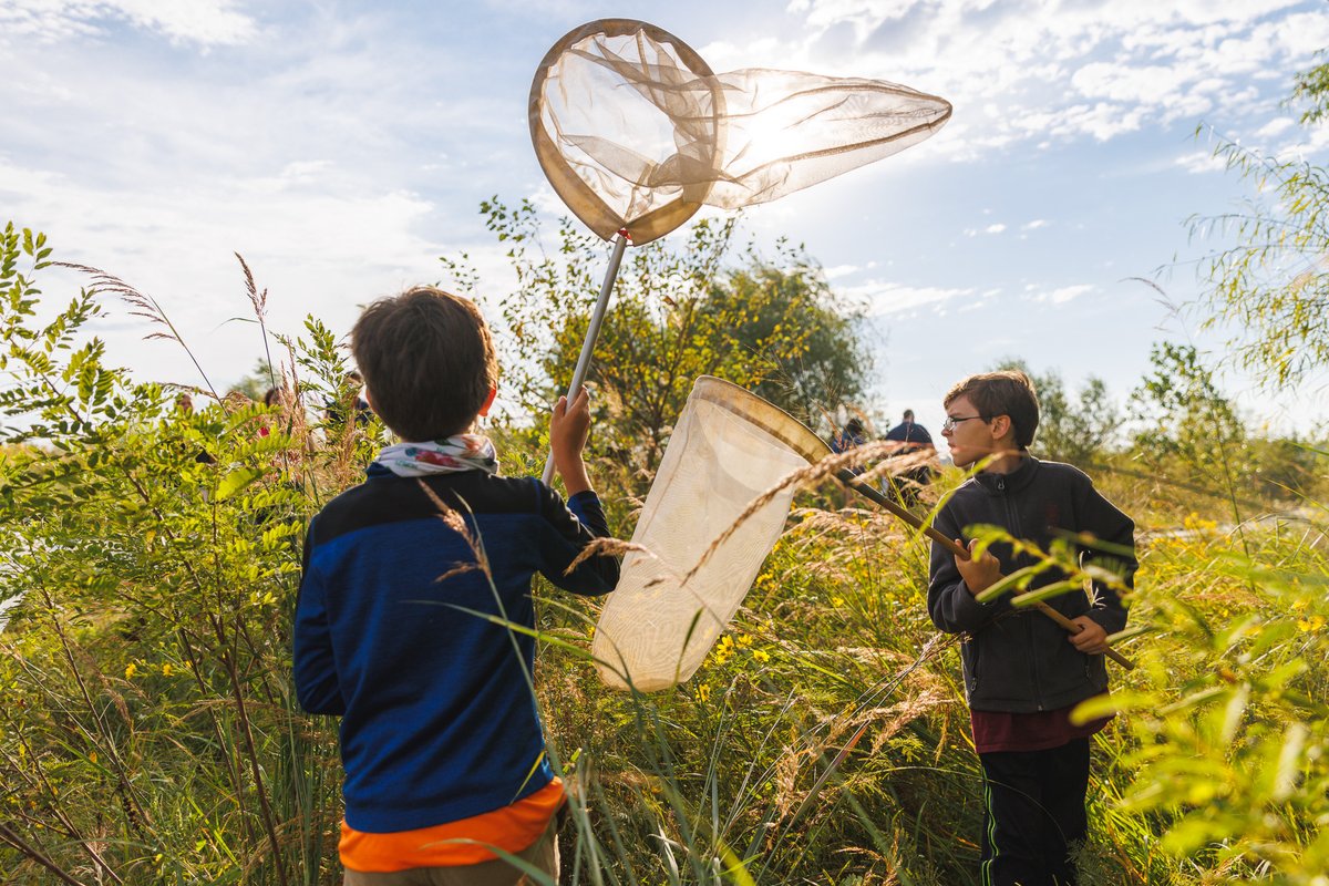 UnivOfKansas's tweet photo. 🦋Volunteers turned out for the 30th annual monarch butterfly tagging event, hosted by KU-based nonprofit Monarch Watch. By tagging migrating monarchs, we can better study and preserve the endangered species. https://t.co/BZr9FIrGqa
