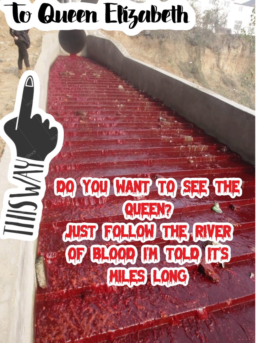 HenryQrugged's tweet image. #queRed