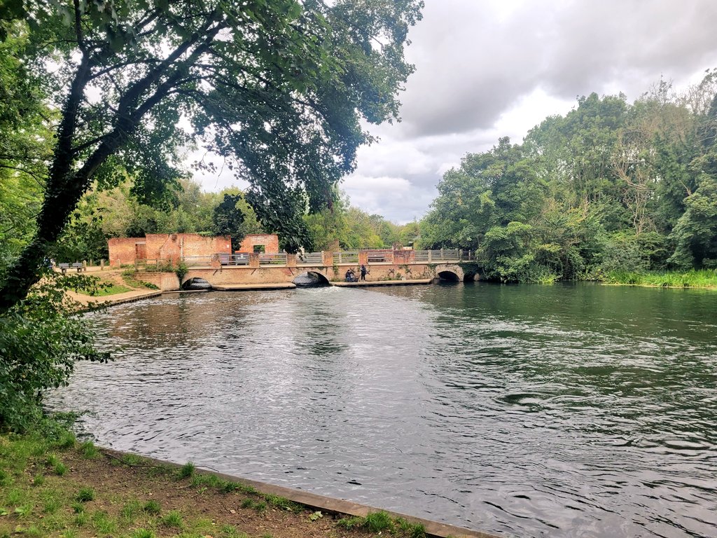 Running2staysa1's tweet photo. Horsford mill swim & swoosh... water was 13° felt the drop from my last swim! Mild hysteria at slug invading swimming hat 🤣 A beautiful half hour swim but autumn is definitely here. #wildswim #swimtounwind #gettingchilly #norfolk https://t.co/6CY31rgtCh