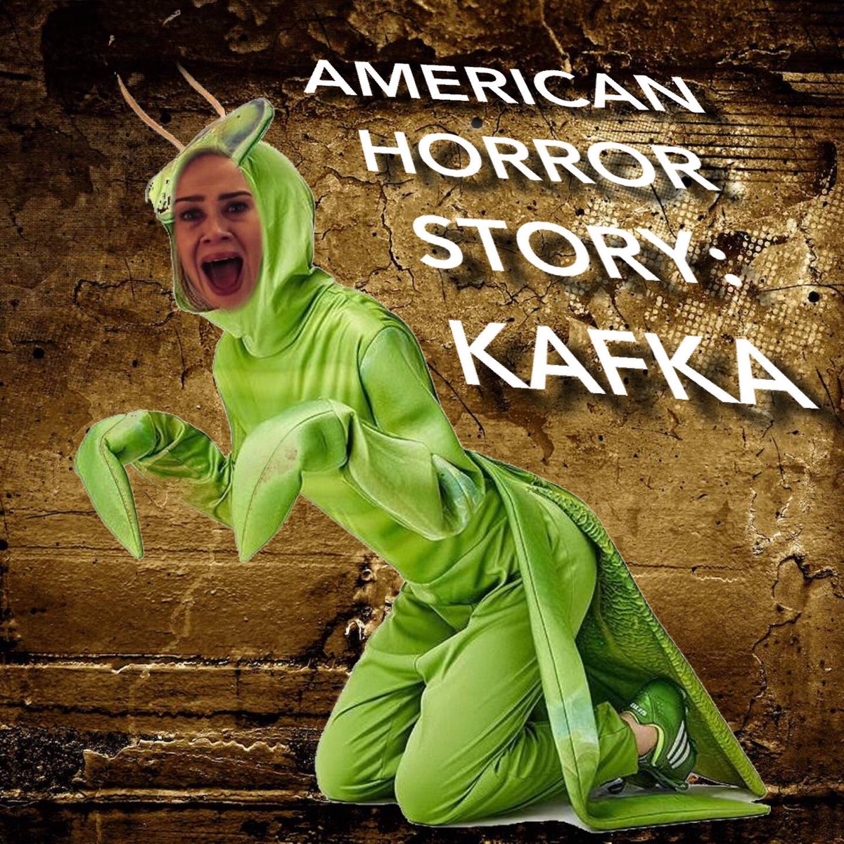 Daniel Kent Foley tweet media