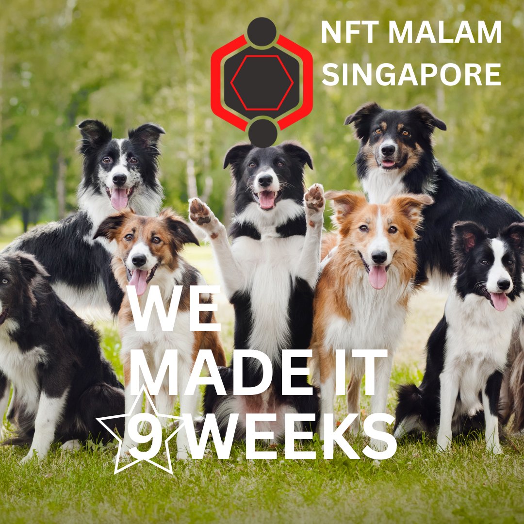 MGenClub's tweet photo. WE MADE IT - 9 WEEKS - NFT MALAM SINGAPORE
#nftmalam #nft #nftsg #nftsingapore #singapore #nftmalamsg #mgen #mgenlabs
@studioKAFI @vessymink @RulerInPeace https://t.co/YA0RjEqKNX