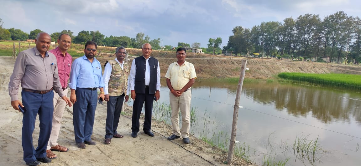 IcarCafri's tweet photo. Director CAFRI visited ANDUAT, Ayodhya today. Hon'ble Vice Chancellor of ANDUAT appraised various forma of crop integration in sodic soils.🙏
@icarindia @arun703 @ANDUAT1 #ICAR #icarcafri #anduat #visit #soil https://t.co/FOqE1bxeMT