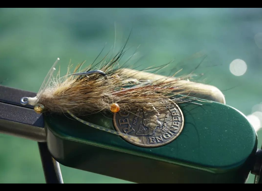 Saltwateronfly's tweet photo. Sweet looking Shrimp
@guideflies
It takes a real predator to hunt on the flats. 
​​.
.
.
#guideflies #flyfishing  #tarpon #tarponflies #tarponfishing #floridakeys #caribbean #flatsfishing #bahamasflies #saltwaterflyfishing #saltwaterfishing #flatsflies #fliesforsale #flytying https://t.co/oRcAb0dZvJ