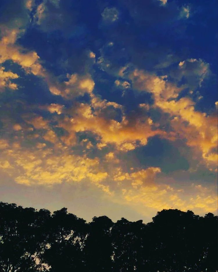 Natashasingh07's tweet photo. #sunset_view.....🌄 https://t.co/IKRjQvWGJq