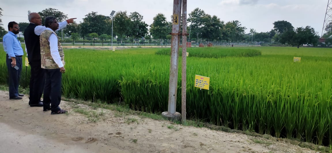 IcarCafri's tweet photo. Director CAFRI visited ANDUAT, Ayodhya today. Hon'ble Vice Chancellor of ANDUAT appraised various forma of crop integration in sodic soils.🙏
@icarindia @arun703 @ANDUAT1 #ICAR #icarcafri #anduat #visit #soil https://t.co/FOqE1bxeMT