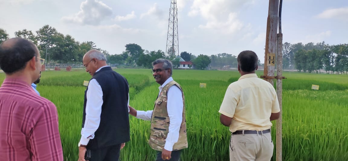 IcarCafri's tweet photo. Director CAFRI visited ANDUAT, Ayodhya today. Hon'ble Vice Chancellor of ANDUAT appraised various forma of crop integration in sodic soils.🙏
@icarindia @arun703 @ANDUAT1 #ICAR #icarcafri #anduat #visit #soil https://t.co/FOqE1bxeMT