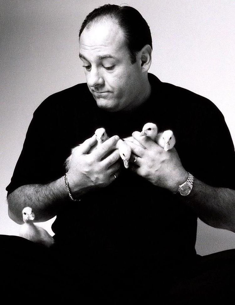 Happy birthday to the legendary incomparable talented icon that is James Gandolfini. You will always be missed.  