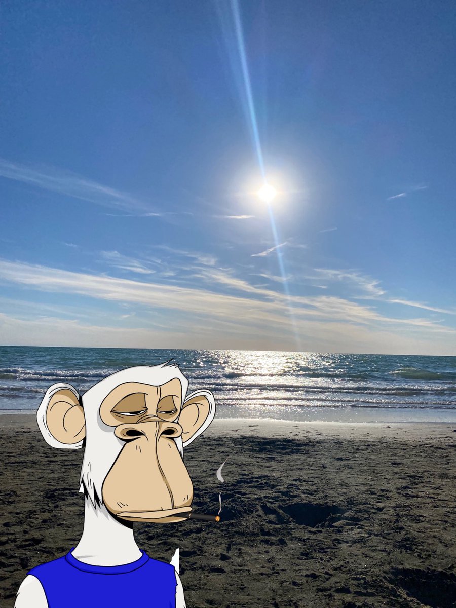 Deserved last weekend on the sea after lots of work.

Tomorrow back working on our IP Rights platform. #nft #NFTCommuntiy #BAYC #MAYC #JBAS