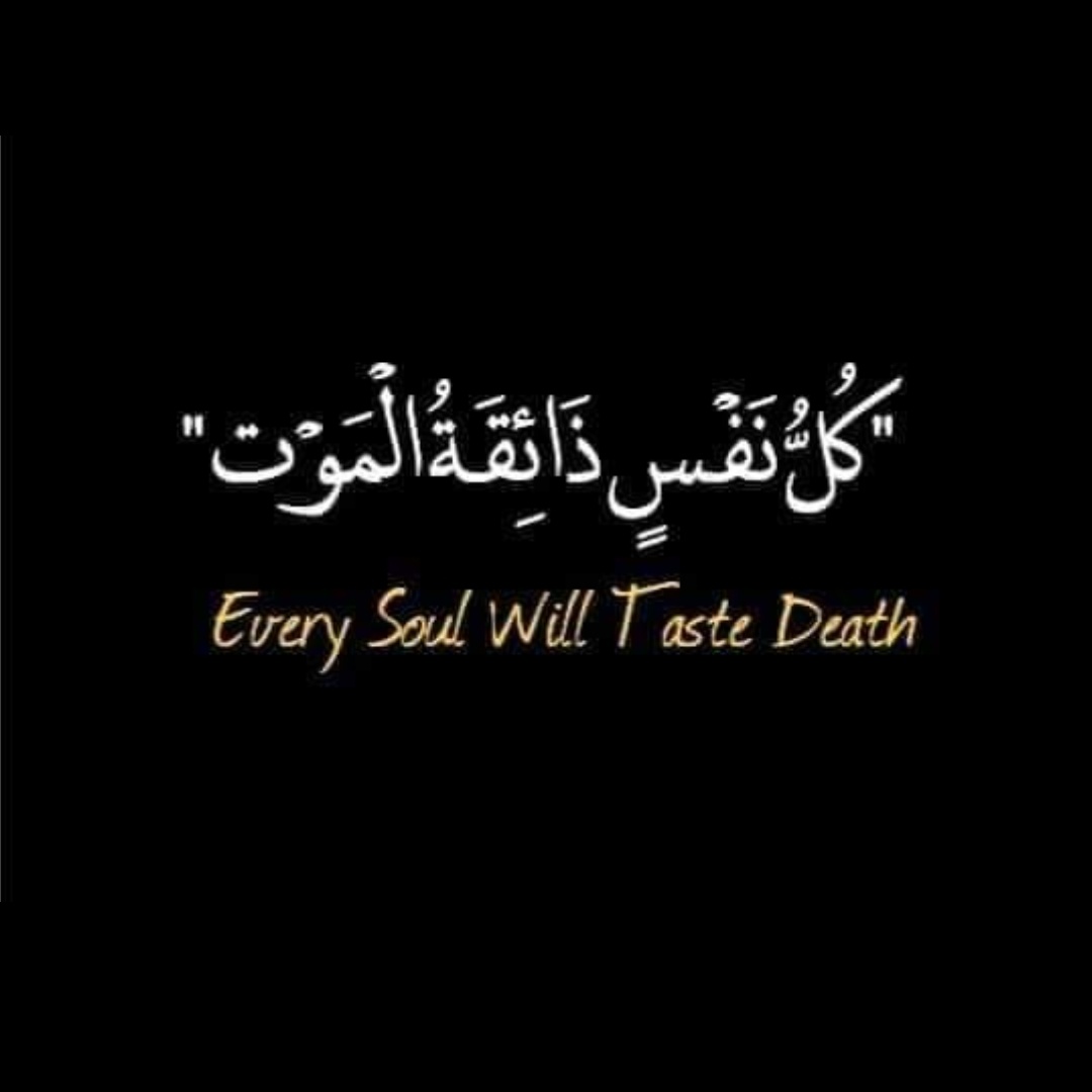 paracha_ha's tweet photo. #NewProfilePic https://t.co/SqMcrNTTJu