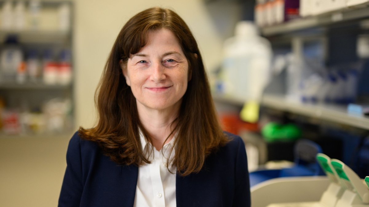 NC State University tweet media