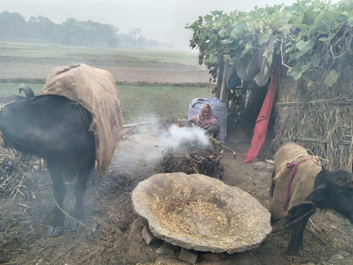mimteyaz's tweet photo. Life reveals it's secrets when interacted from position of poverty. https://t.co/Y2UxoiCCGQ