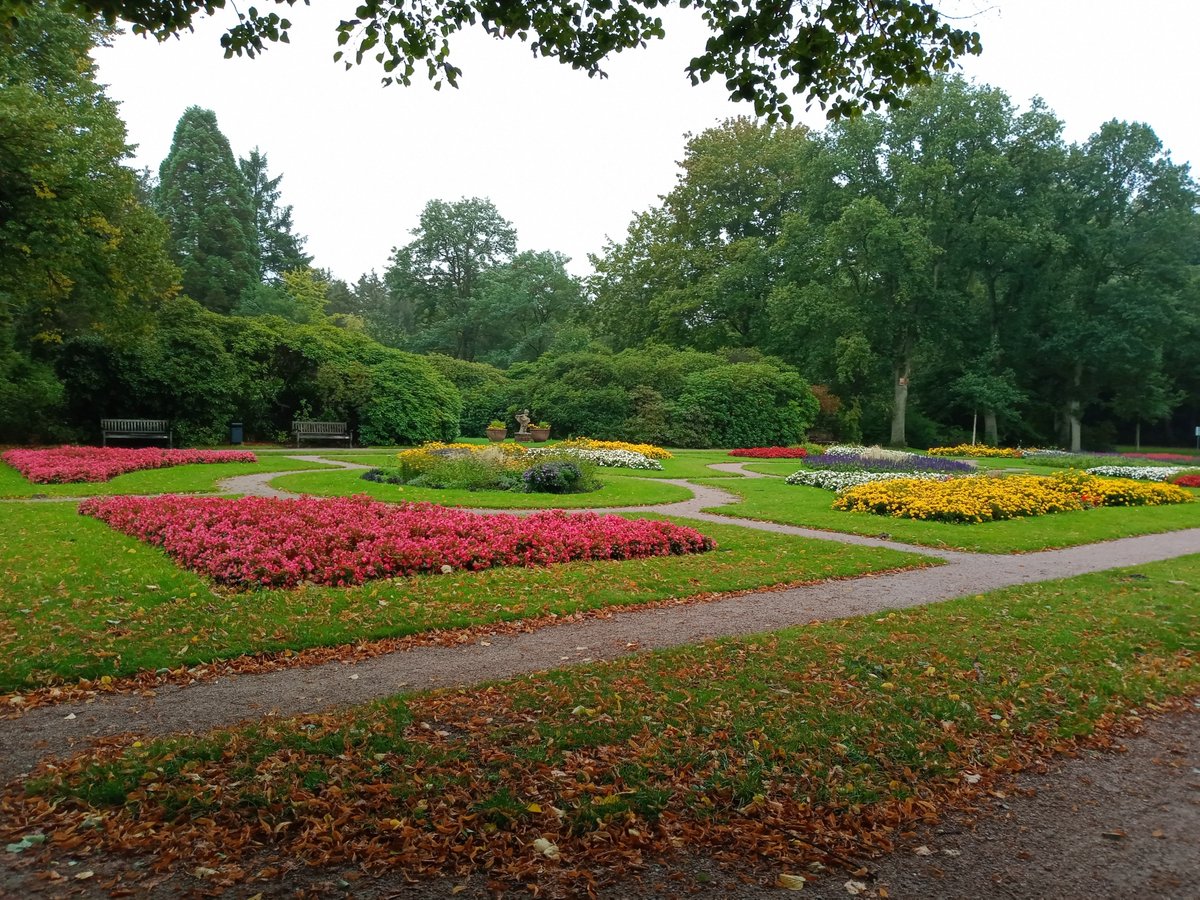 Bei Regen wird man zwar nass, aber dafür haben die Farben im Bürgerpark besonders schön geleuchtet. 😍